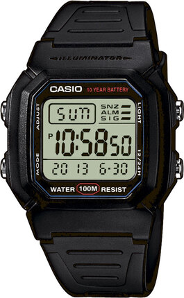 Годинник Casio TIMELESS COLLECTION W-800H-1AVEF