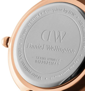 Часы Daniel Wellington Petite St Mawes DW00100231