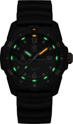 Часы Luminox Bear Grylls Survival XB.3723