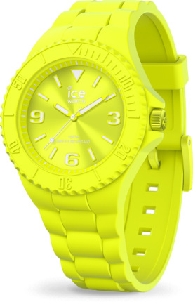 Часы Ice-Watch 019161