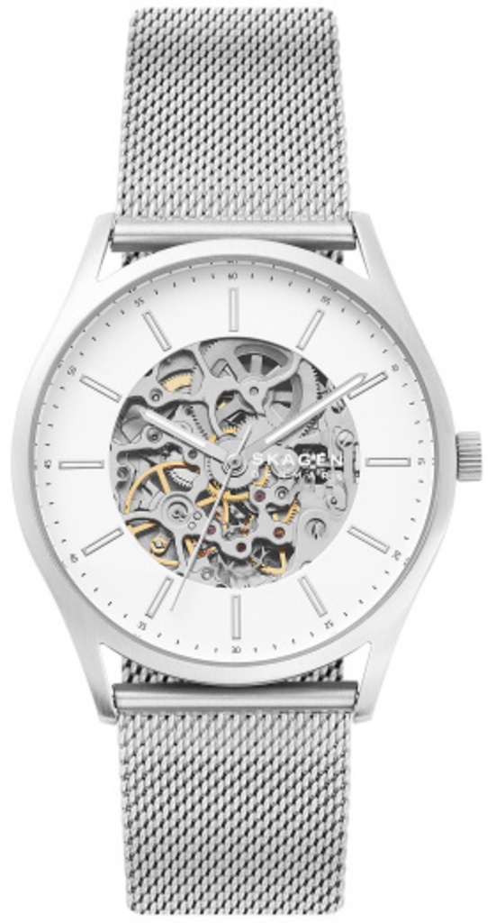 

Часы SKAGEN SKW6581, SKW6581