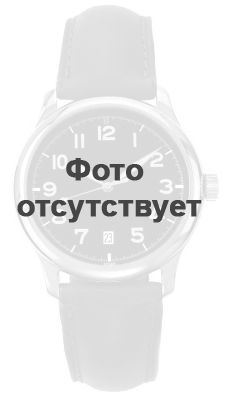 

Часы DIESEL DZ1890, DZ1890